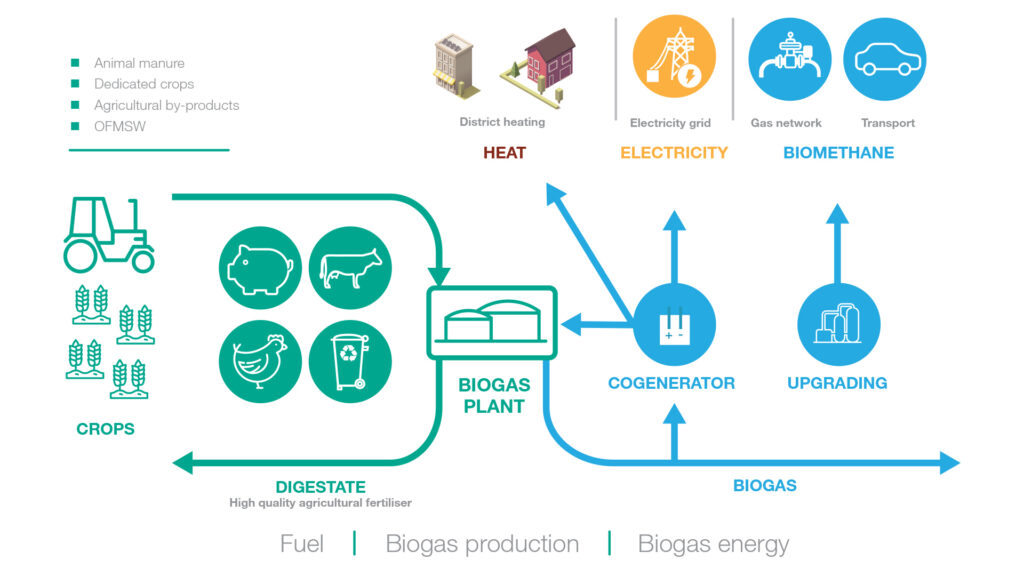 Biogas upgrading